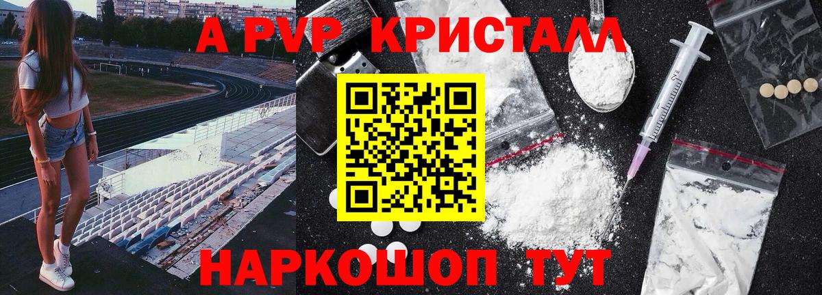 Альфа ПВП СК КРИС Урус-Мартан