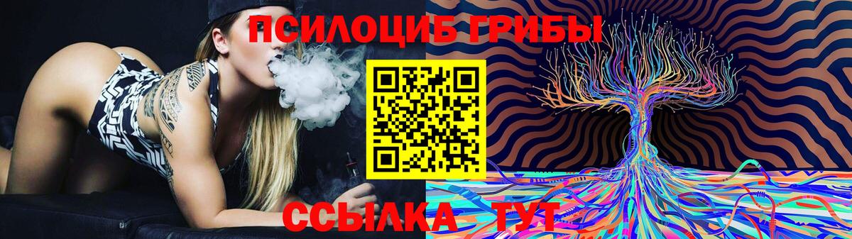 Урус-Мартан  Галлюциногенные грибы мицелий  Вход с VPN 
