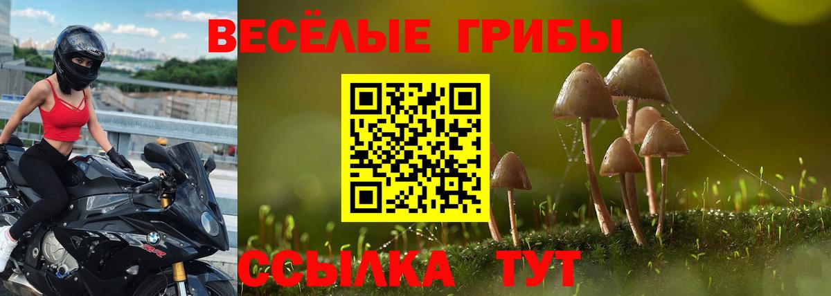 Галлюциногенные грибы MAGIC MUSHROOMS Урус-Мартан